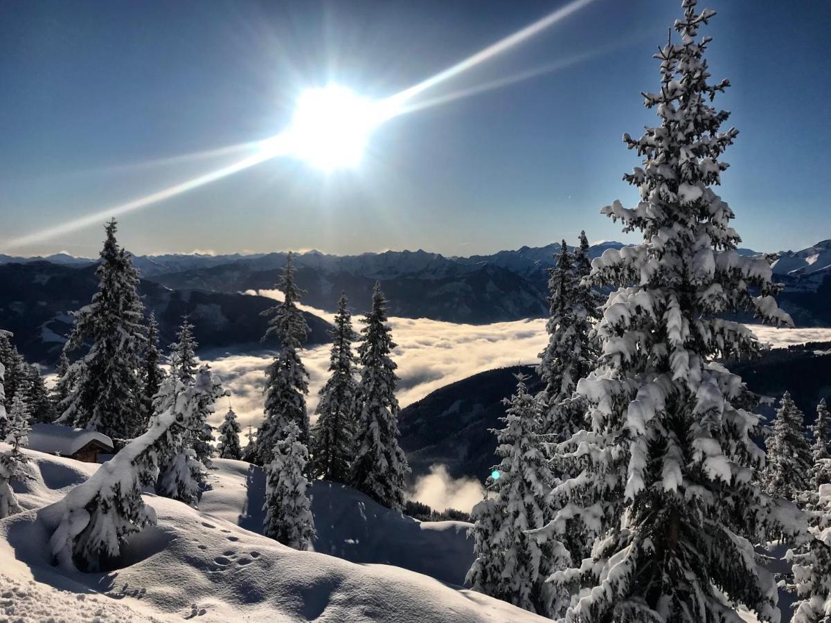 Landhaus Bergner Alm Apartment Bruck an der Grossglocknerstrasse Bagian luar foto