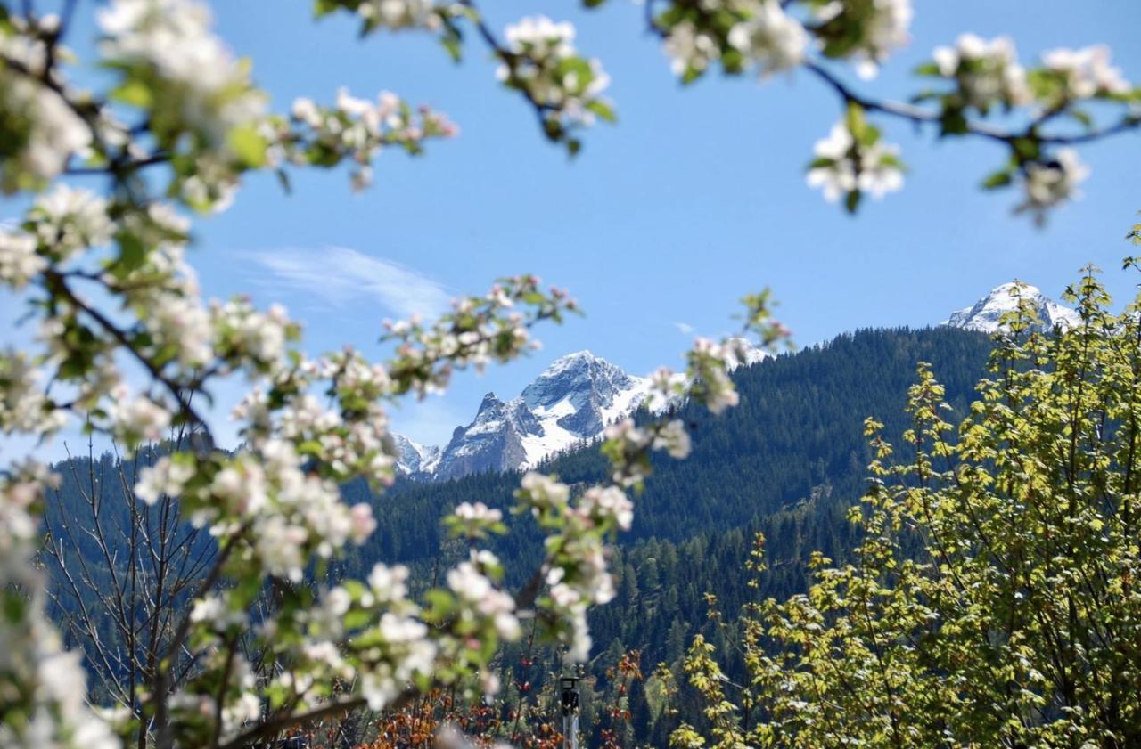 Landhaus Bergner Alm Apartment Bruck an der Grossglocknerstrasse Bagian luar foto