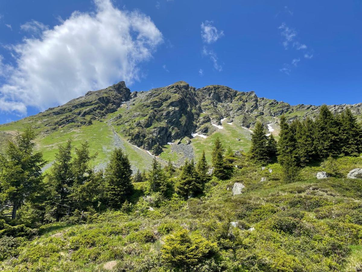 Landhaus Bergner Alm Apartment Bruck an der Grossglocknerstrasse Bagian luar foto