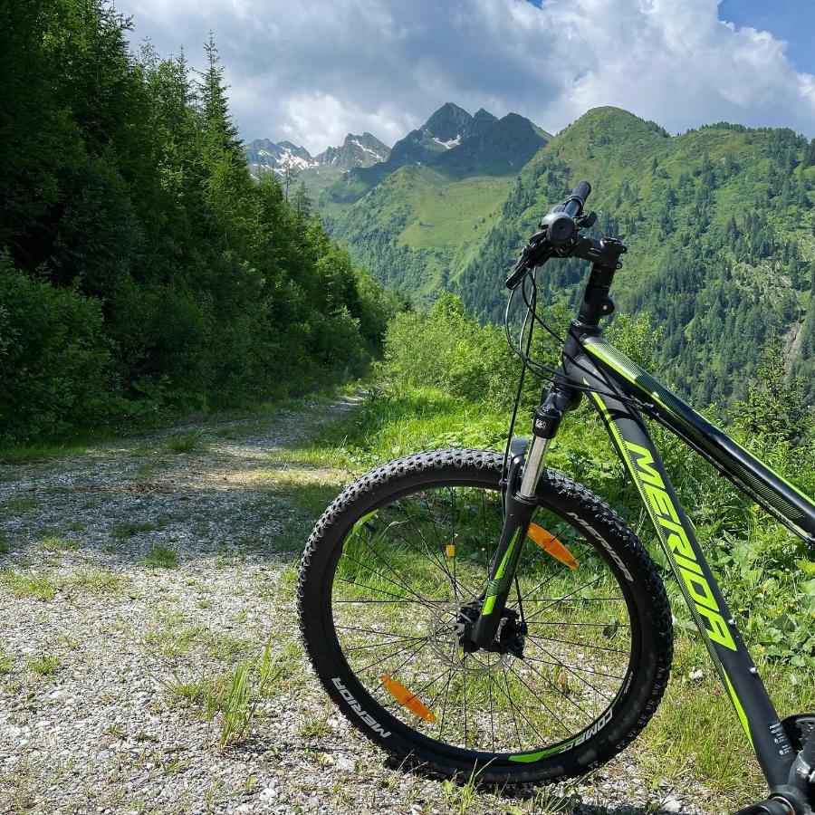 Landhaus Bergner Alm Apartment Bruck an der Grossglocknerstrasse Bagian luar foto