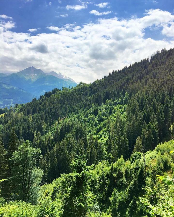 Landhaus Bergner Alm Apartment Bruck an der Grossglocknerstrasse Bagian luar foto